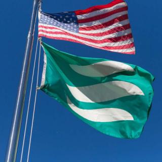 An American flag flying next to a green flag with two white diagonal stripes against a clear blue sky.