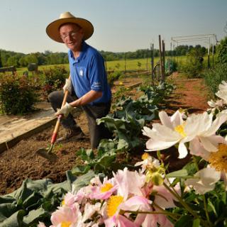 A farmer tending to his garden, surrounded by blooming flowers and fresh vegetables on a sunny day.