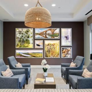 A modern living room featuring a gallery wall with nature-themed artwork, comfortable seating, and a woven pendant light.