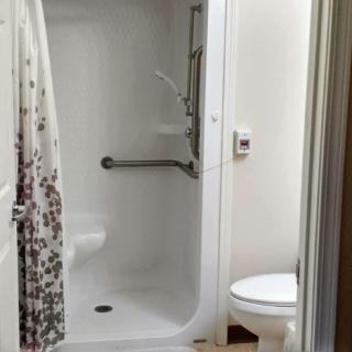 A compact bathroom with an accessible shower and a toilet.
