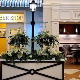 Indoor area with a barber shop and decorative plants.