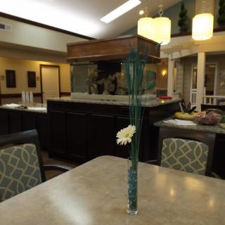 A well-lit dining area featuring a single flower in a tall vase on a table.