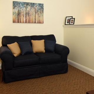 A cozy living room with a dark sofa, accented by two cushions and a woodland-themed artwork on the wall.