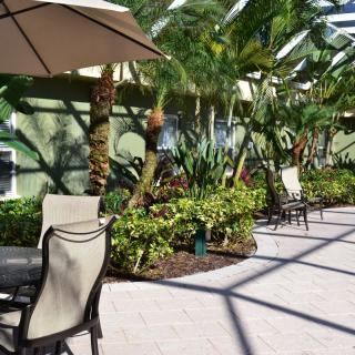 A sunny patio with outdoor seating and tropical plants.