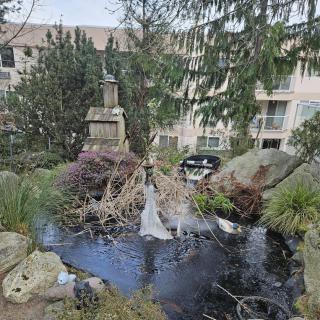 A serene garden with a waterfall and pond in front of a multi-story building.