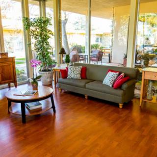 A brightly lit living room with a comfortable sofa, coffee table, and large windows overlooking a garden.
