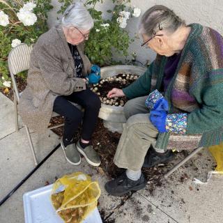 Two people engaged in gardening, sorting plant materials outside.