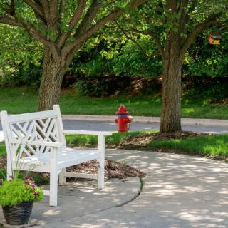 A white bench situated along a garden pathway, framed by lush trees and a red fire hydrant in the background.