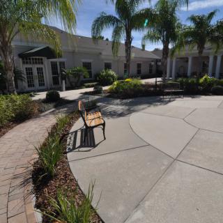 A sunny courtyard with a bench surrounded by palm trees and a building in the background.
