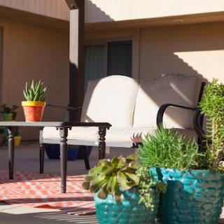A cozy outdoor patio setup with comfortable seating and vibrant potted plants.