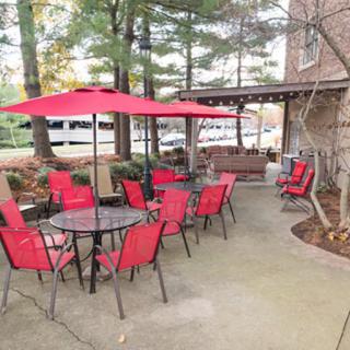 An inviting outdoor patio area with red umbrellas and chairs surrounded by trees.