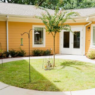 A cozy courtyard with a small tree and well-maintained lawn in front of a house with yellow siding.