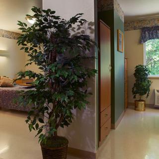 A cozy bedroom featuring a bed, decorative plants, and natural light.