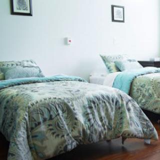 A cozy bedroom featuring two twin beds with patterned bedding and minimalist decor.