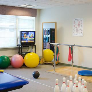 A physical therapy room equipped with exercise balls, parallel bars, and a mirror for rehabilitation exercises.