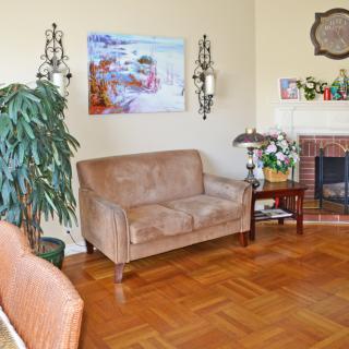 A cozy living room with a sofa, fireplace, and indoor plants.