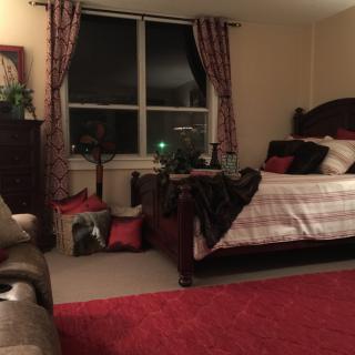 Cozy bedroom with elegant furnishings and dim lighting.