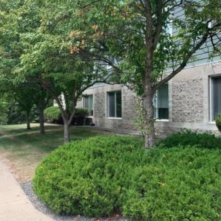 A sidewalk running alongside a building with trees and bushes in a landscaped area.