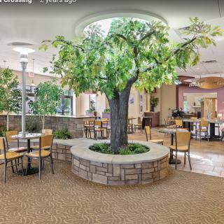 An inviting indoor restaurant space with a central artificial tree and comfortable seating.