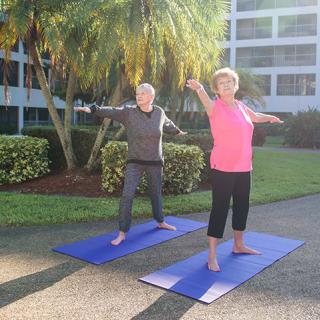 Two people practicing yoga outdoors on mats.