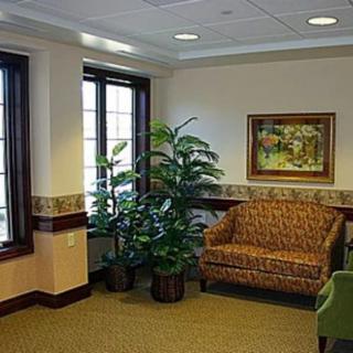 A cozy waiting room with an armchair, indoor plants, and a painting on the wall.