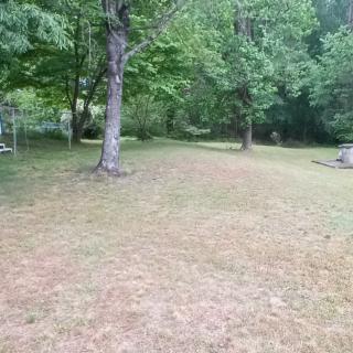 A peaceful outdoor scene with trees and grassy terrain.