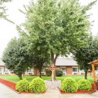 A serene garden with lush trees and neatly trimmed bushes.