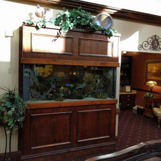 A beautifully designed aquarium set within an elegant wooden cabinet, adorned with decorative plants.