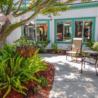 A peaceful patio surrounded by lush greenery and comfortable seating.