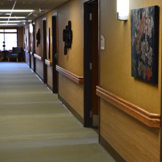 A serene hospital hallway adorned with artwork, featuring doors to patient rooms.