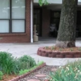 A small garden with plants and a tree in front of a building.
