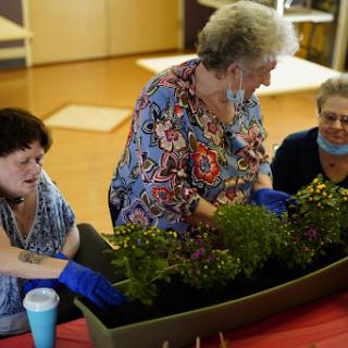 Seniors engaging in a collaborative gardening activity indoors.
