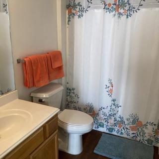 A bathroom featuring a sink with a mirror above, a toilet, and a shower area with a floral curtain.