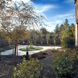 A well-maintained backyard with a winding pathway and lush trees under a clear blue sky.