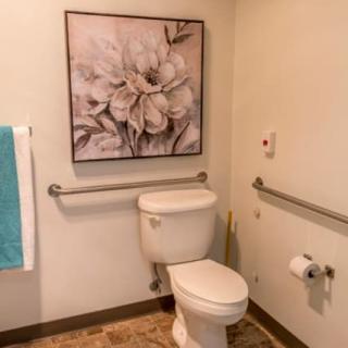A bathroom with a toilet, featuring grab bars for accessibility, a floral artwork, and a towel hanging on the wall.