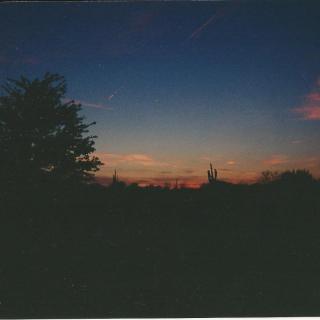 Silhouetted trees against a vibrant sunset sky.