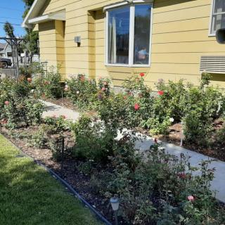 A well-maintained garden with flowers in front of a yellow house.