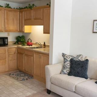 Cozy living space with a small kitchen and comfortable sofa.