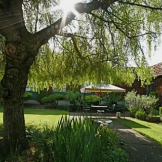 A tranquil garden scene with sunlight filtering through the branches of a large tree, overlooking a bench and lush greenery.