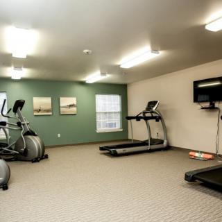 A small gym with treadmills and elliptical machines.