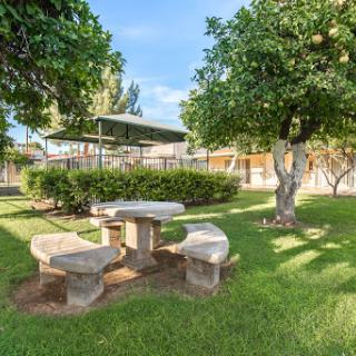A serene outdoor space featuring a stone table surrounded by lush greenery.