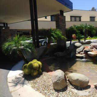 A serene outdoor area featuring palm trees and a decorative water feature, surrounded by rocks.