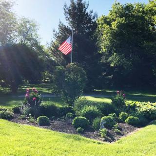 A sunlit garden with an American flag surrounded by lush greenery.