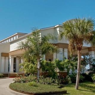 A modern residential house surrounded by palm trees and lush landscaping on a sunny day.