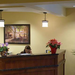 Reception desk in an office with plants and artwork on the wall.