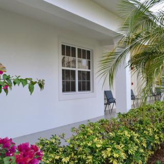 A view of a house with a small garden, featuring colorful flowers and a palm tree beside the patio.