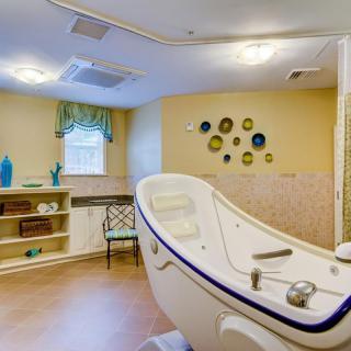 A serene spa room featuring a specialized tub and calming decor.