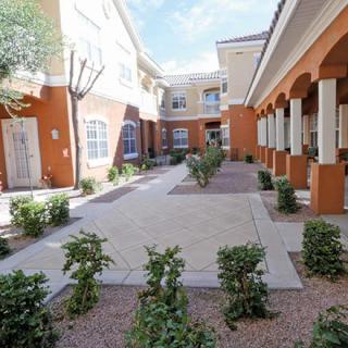 A view of a residential courtyard with neatly arranged plants and pathways.