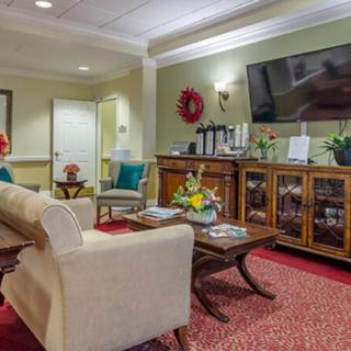 A cozy living room with a sofa, coffee table, and a large TV, decorated with indoor plants and warm lighting.