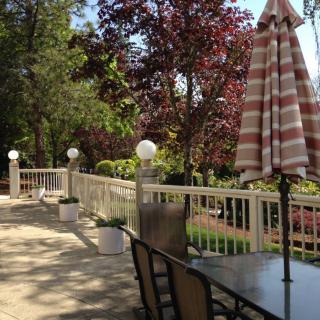 A sunny outdoor patio with table and chairs, surrounded by lush trees and garden.